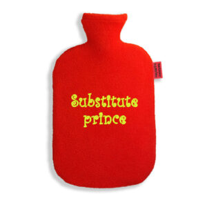 hot-water-bottle-substitute-prince